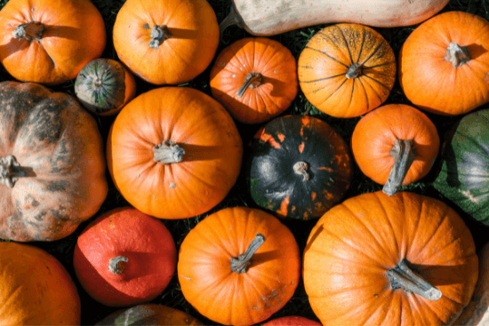 pumpkin allergy