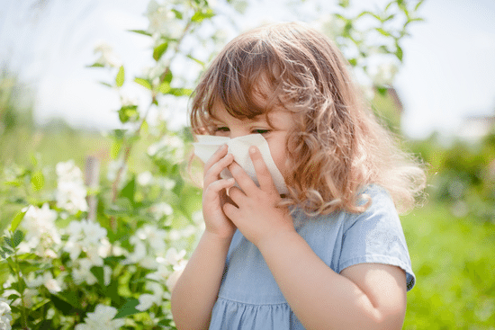 Xyzal vs Allegra: Which Allergy Medicine is Better?
