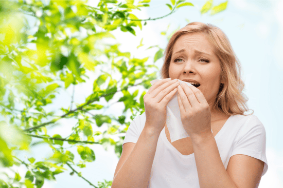 allegra vs flonase image of woman sneezing