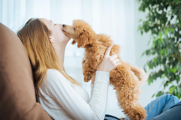 Curist Blog | Dog Allergy