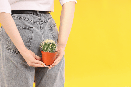 picture of person holding spiky plant - best hemorrhoid treatments