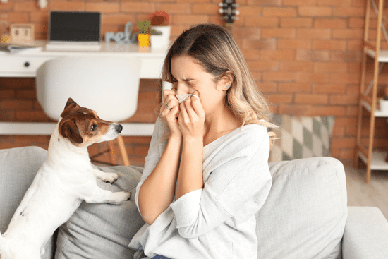 Woman sneezing and may have dog allergies