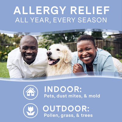 Allergy Relief (loratadine 10 mg), 365 ct